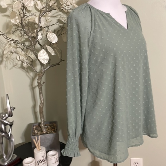 Chico's Sage Green Long Sleeve Blouse - Picture 3 of 9